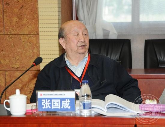 張國成院士.jpg